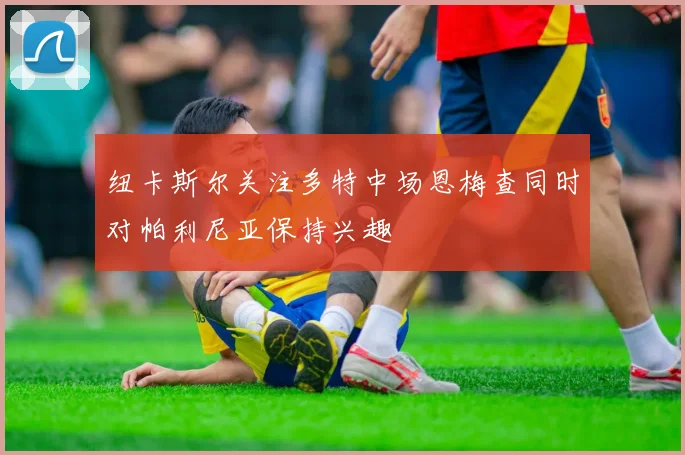 纽卡斯尔关注多特中场恩梅查同时对帕利尼亚保持兴趣